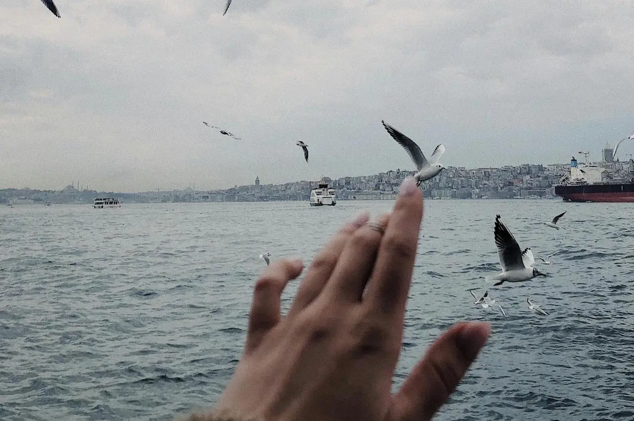 Üsküdar İstanbul